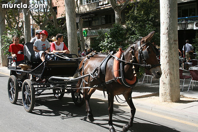 XIV Feria de Ganado y paseo en Carruajes y Caballos - 91