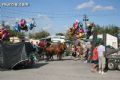 Feria de Ganado - 149