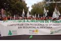 Manifestacin en Madrid - 201