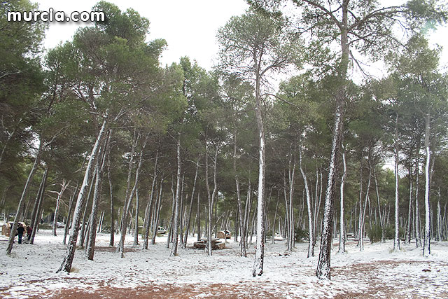 Nieve Sierra Espuña 2009 - 65