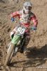 Motocross - 311