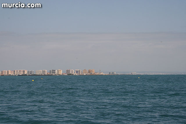 Isla Grosa - Gaviota de Audouin (Larus audouinii) - 49