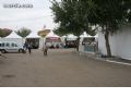 I Feria del Campo - 299