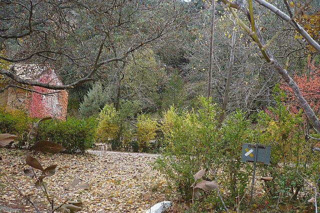 Senderismo en la Sierra del Agua (Albacete)  - 468