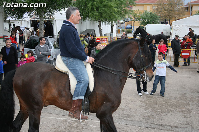 Paseo en caballos. Fiestas rocieras. Totana 2010 - 60