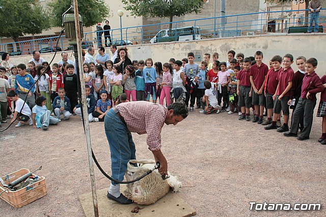 Cientos de escolares han participado en los oficios del campo como el esquilado y el ordeado - 46