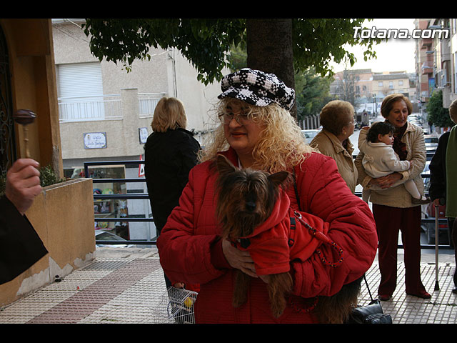 Los animales recibieron la bendicin en el da de su patrn, San Antn, a las puertas del Convento  - 70