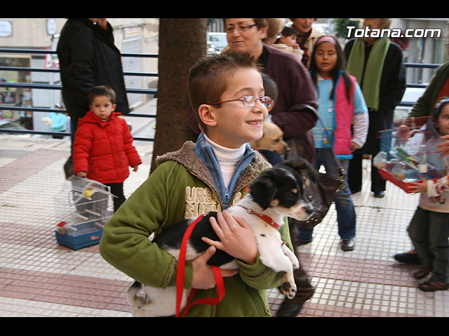 Los animales recibieron la bendicin en el da de su patrn, San Antn, a las puertas del Convento  - 71