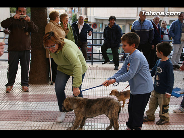 Los animales recibieron la bendicin en el da de su patrn, San Antn, a las puertas del Convento  - 163