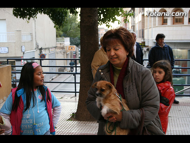 Los animales recibieron la bendicin en el da de su patrn, San Antn, a las puertas del Convento  - 182