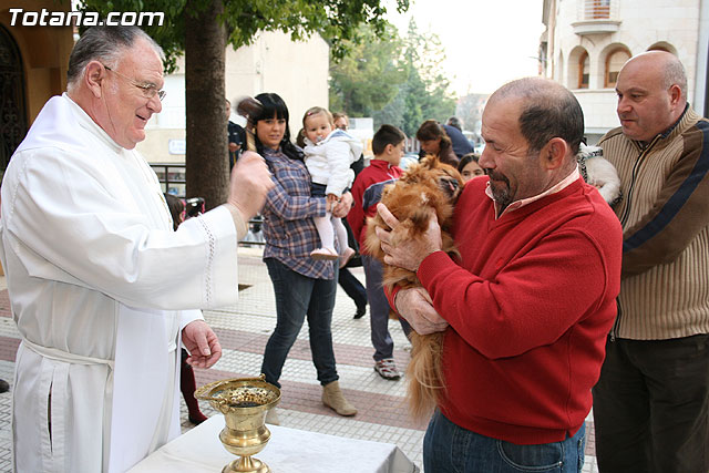 Bendicin animales - San Antn 2010 - 113