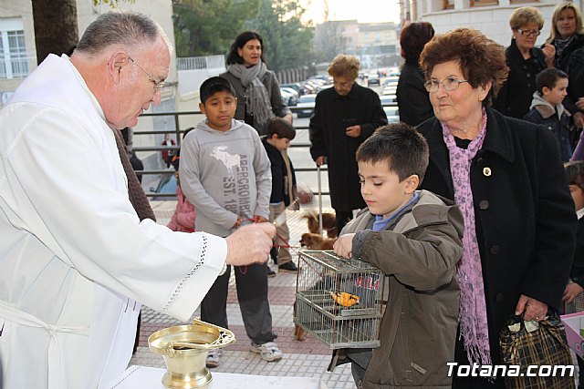 Bendición animales - San Antón 2011 - 62