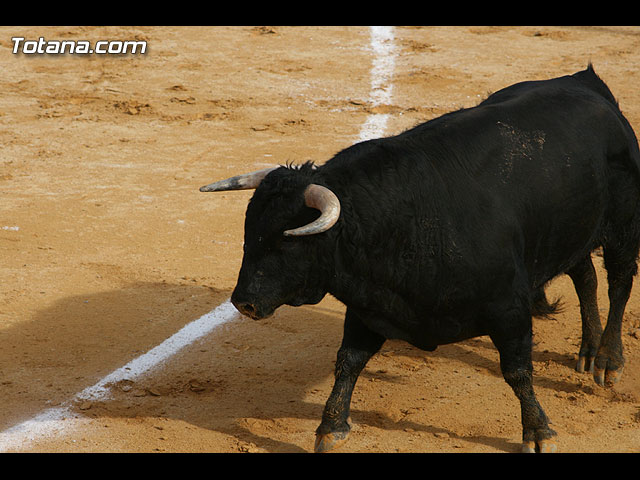 Tarde de toros en Totana - 88