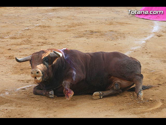 Tarde de toros en Totana - 237