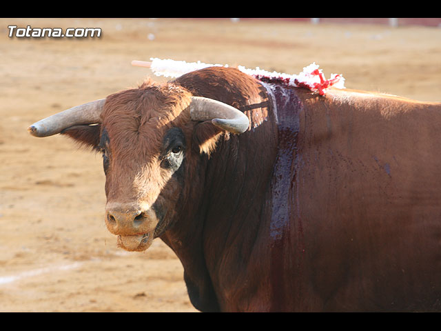 Tarde de toros en Totana - 239